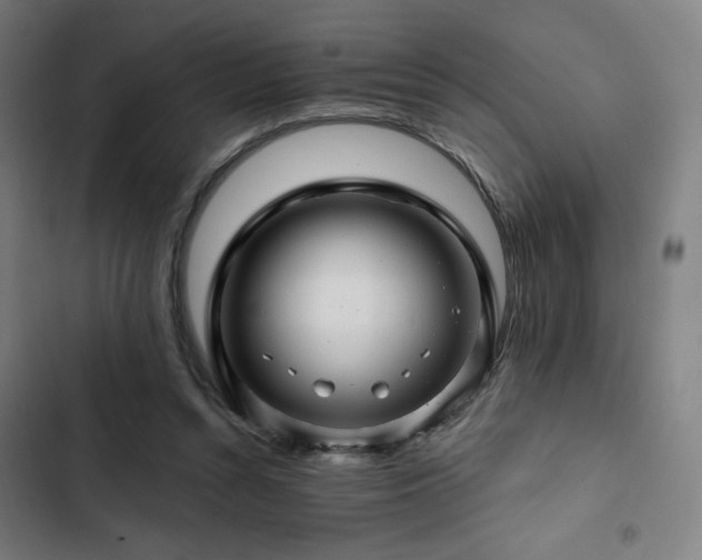 X0000103320352200809051152