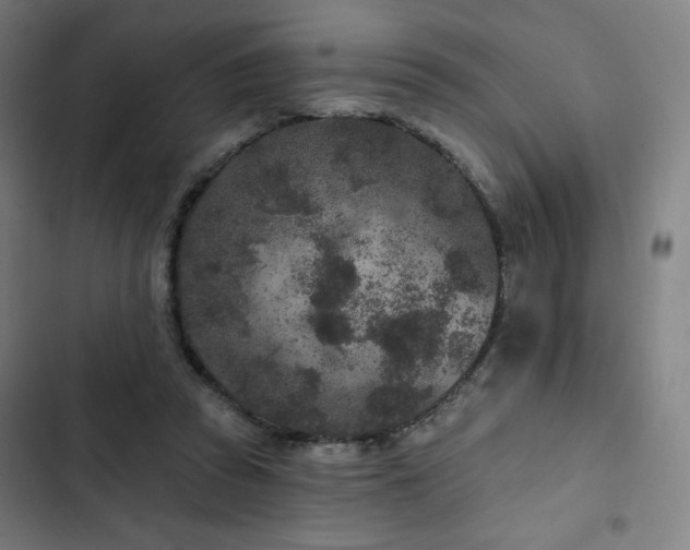 X0000103320353200809051152