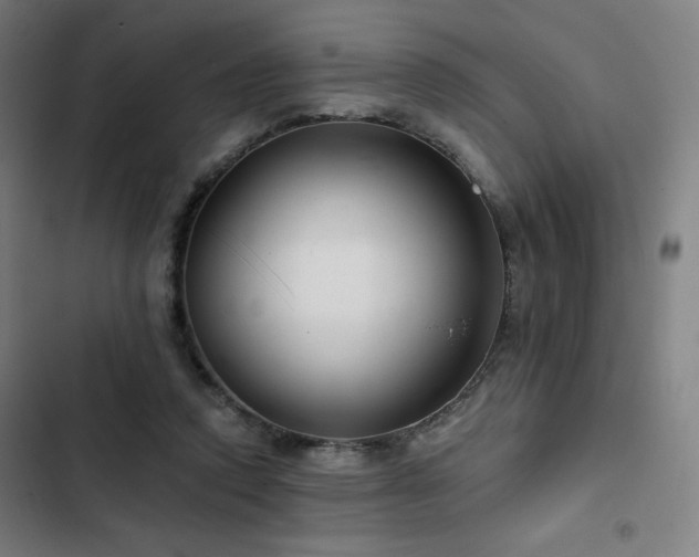 X0000103320354200809051152