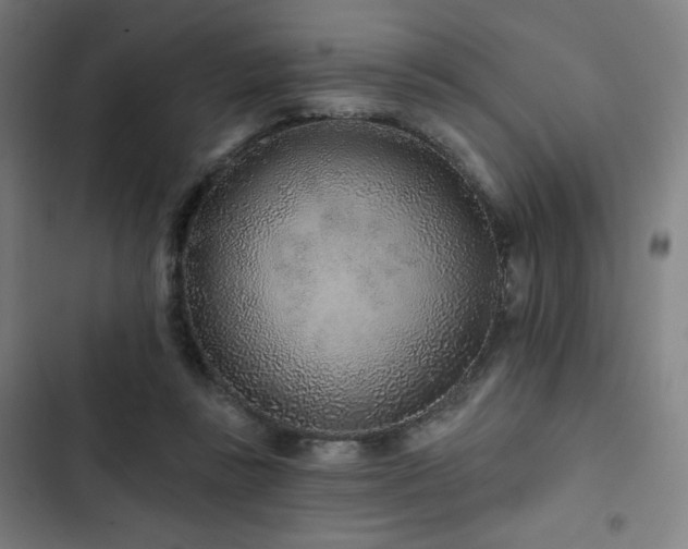 X0000103320355200809051152