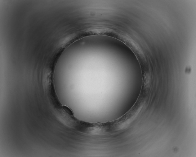 X0000103320356200809051152