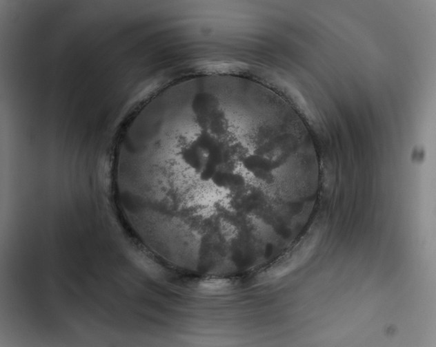 X0000103320357200809051152