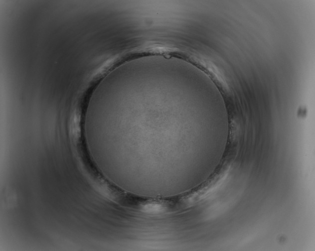 X0000103320358200809051152