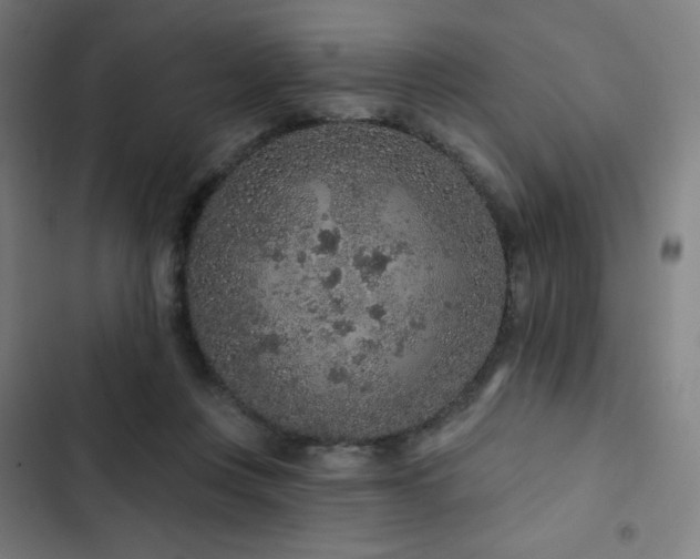 X0000103320359200809051152