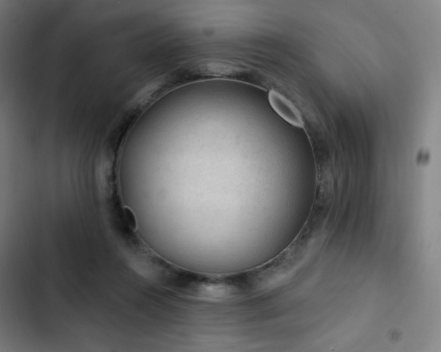 X0000103320360200809051152