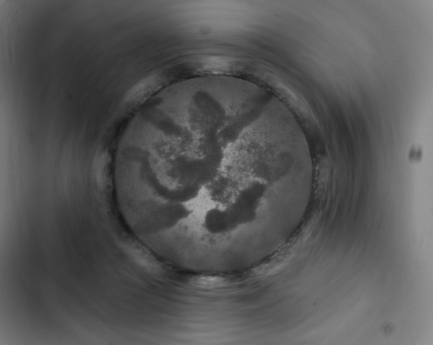 X0000103320361200809051152