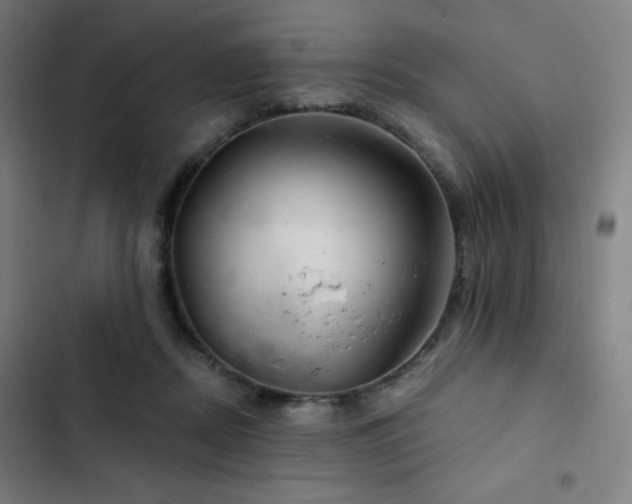 X0000103320362200809051152