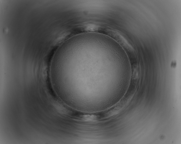 X0000103320363200809051152