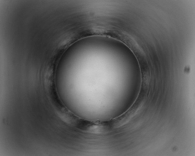 X0000103320364200809051152