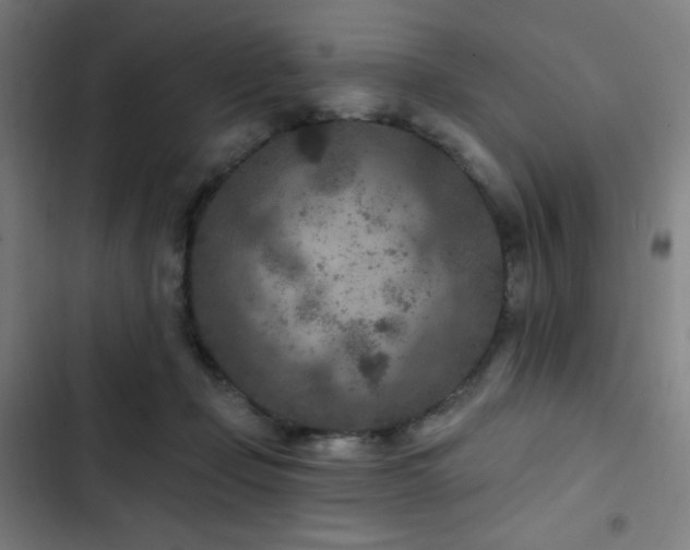 X0000103320365200809051152