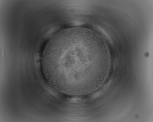 X0000103320366200809051152