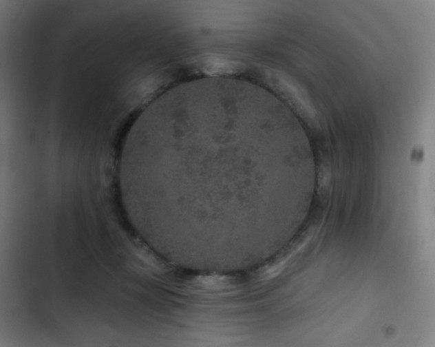 X0000103320367200809051152