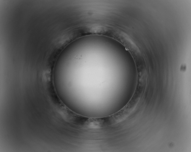 X0000103320368200809051152