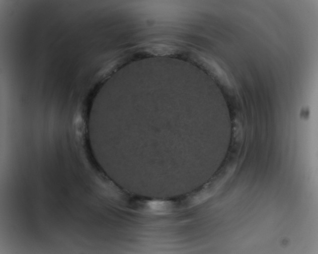 X0000103320371200809051152