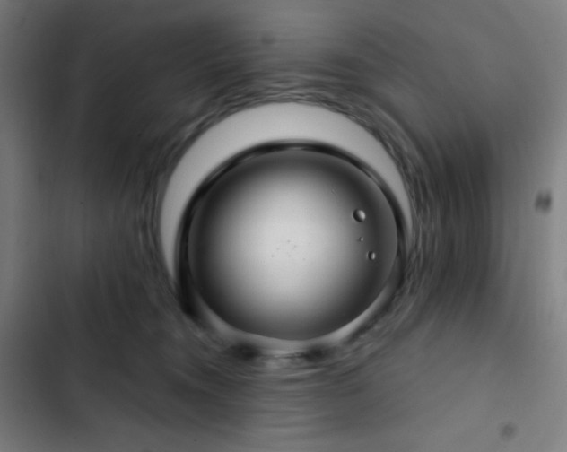 X0000103320372200809051152