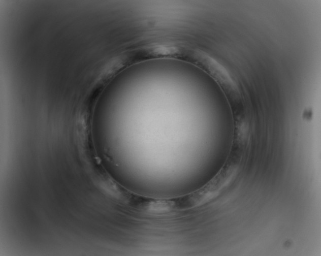 X0000103320373200809051152