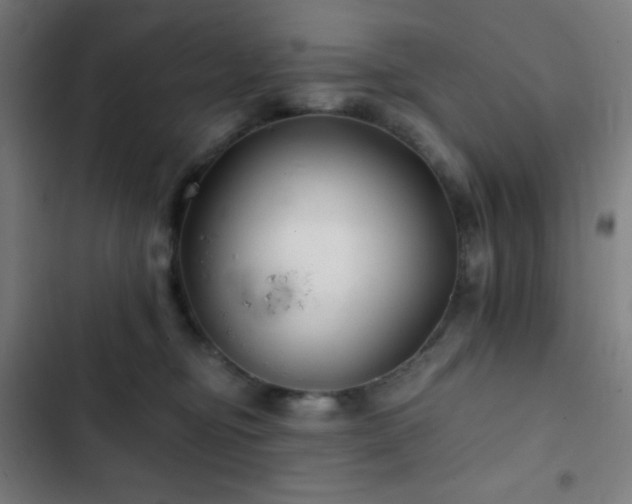 X0000103320374200809051152