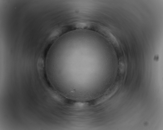 X0000103320375200809051152