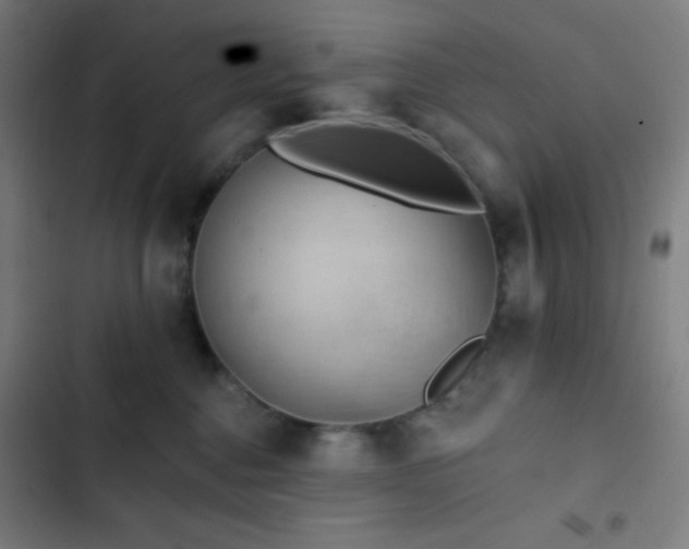 X0000103320376200809051152