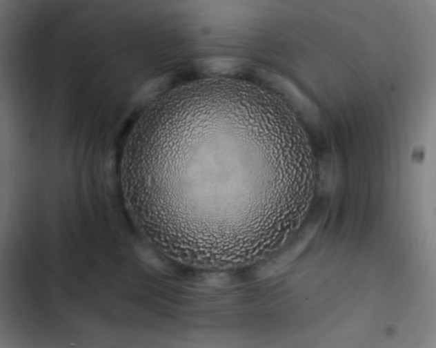 X0000103320377200809051152