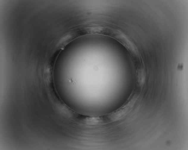 X0000103320378200809051152