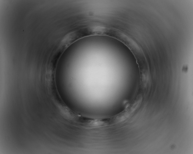 X0000103320379200809051152