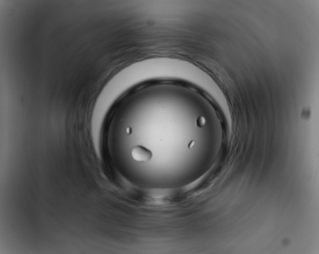 X0000103320380200809051152