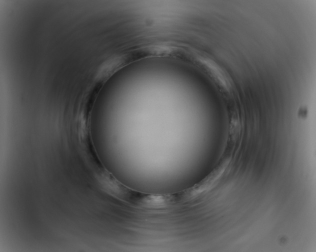 X0000103320381200809051152