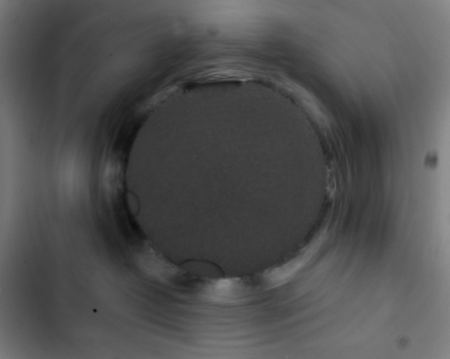 X0000103320382200809051152