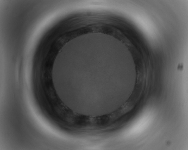 X0000103320383200809051152