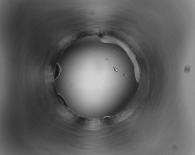 X0000103320384200809051152