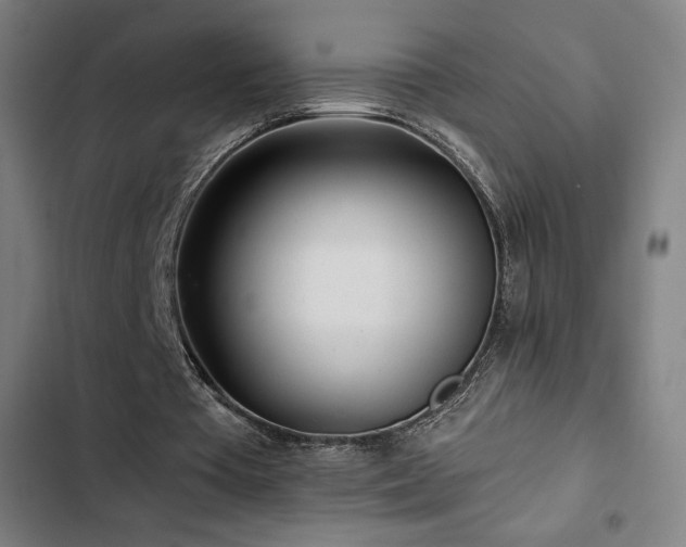 X0000103320385200809051152