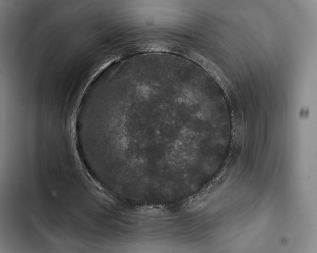 X0000103320386200809051152