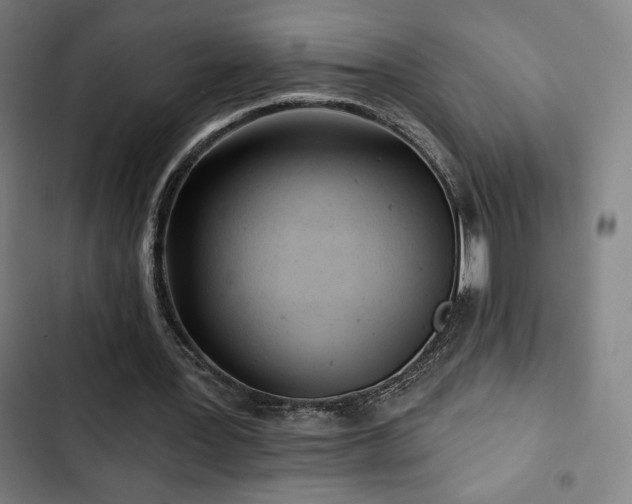 X0000103320387200809051152