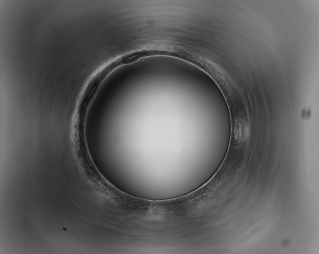 X0000103320388200809051152