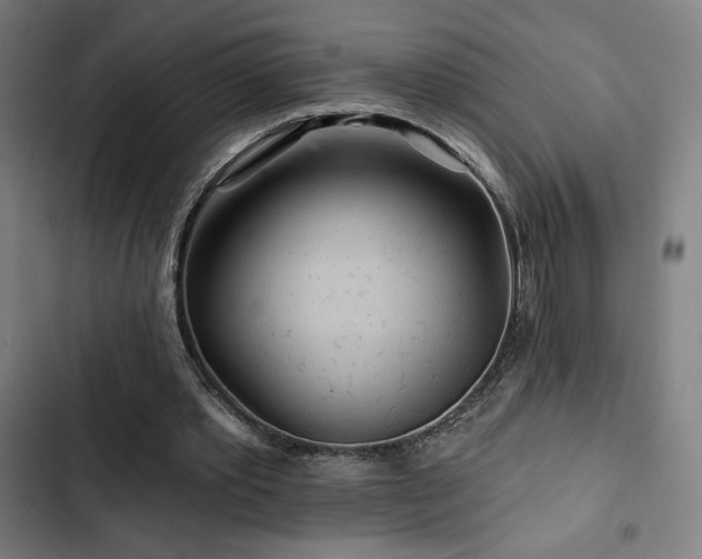 X0000103320389200809051152