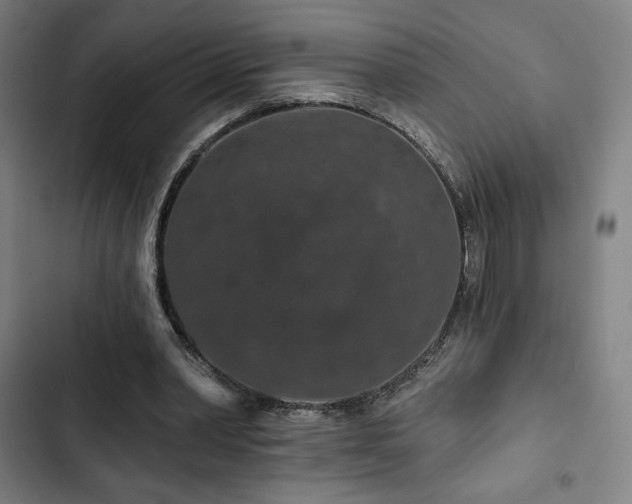 X0000103320390200809051152