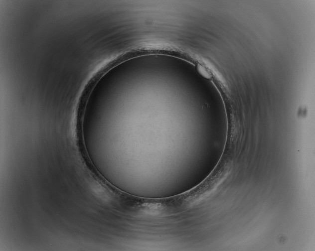 X0000103320391200809051152