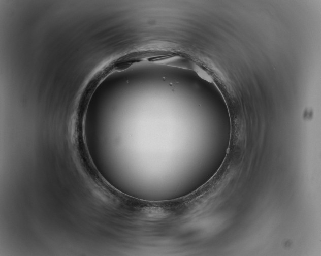 X0000103320392200809051152