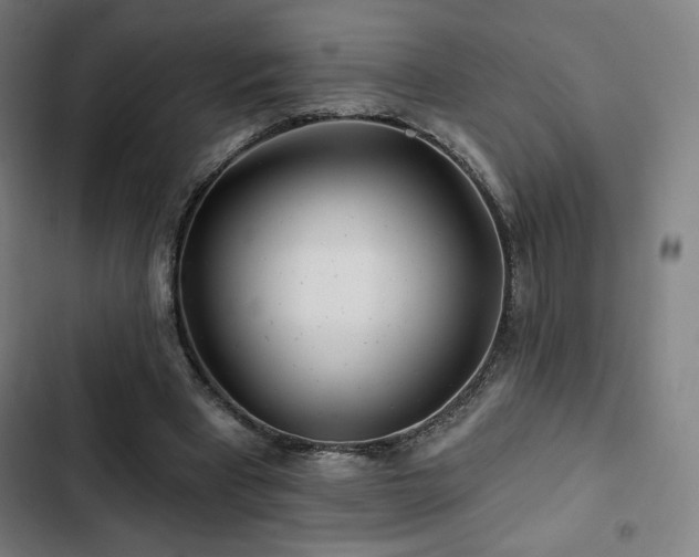 X0000103320393200809051152