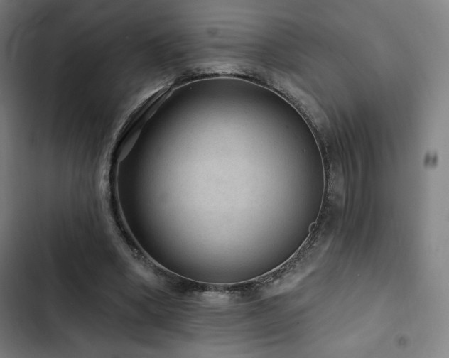 X0000103320394200809051152