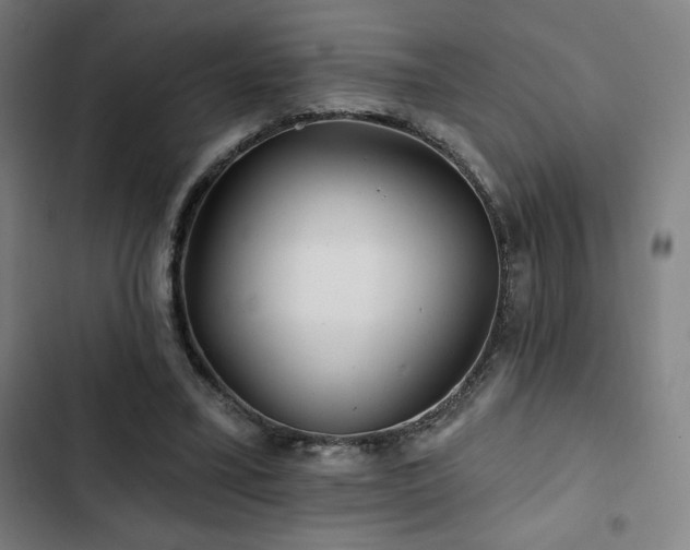 X0000103320395200809051152