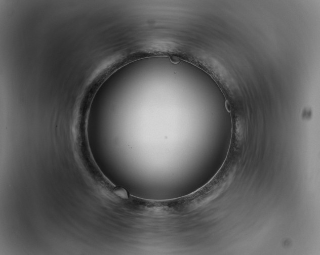 X0000103320396200809051152