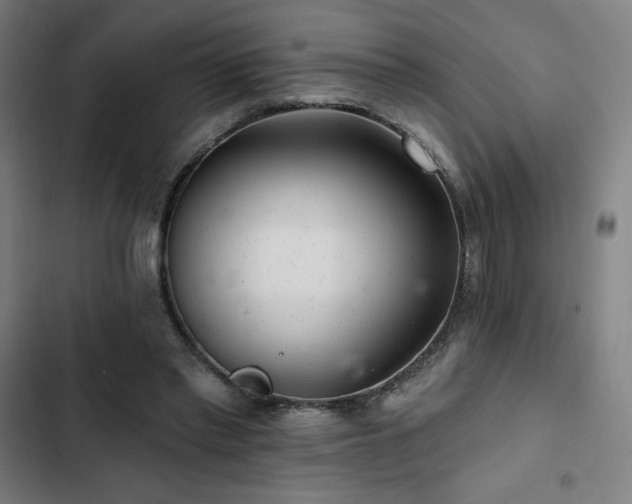 X0000103320397200809051152