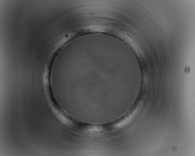 X0000103320398200809051152