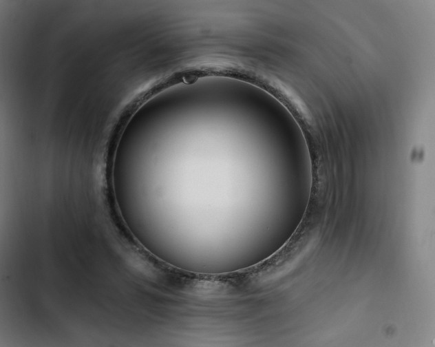 X0000103320399200809051152