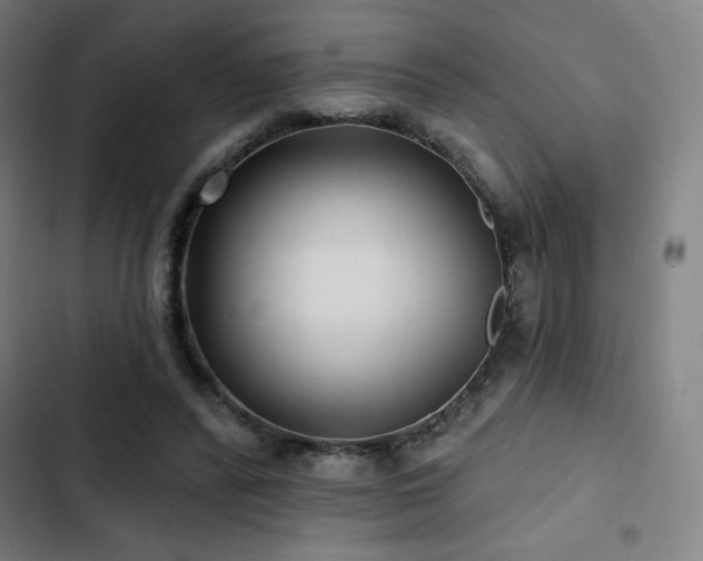 X0000103320400200809051152