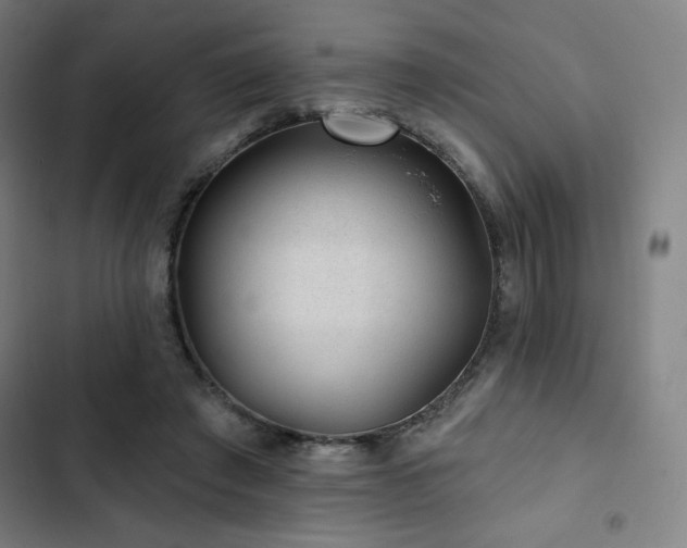 X0000103320401200809051152