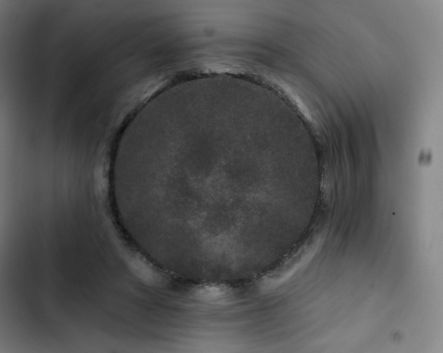 X0000103320402200809051152