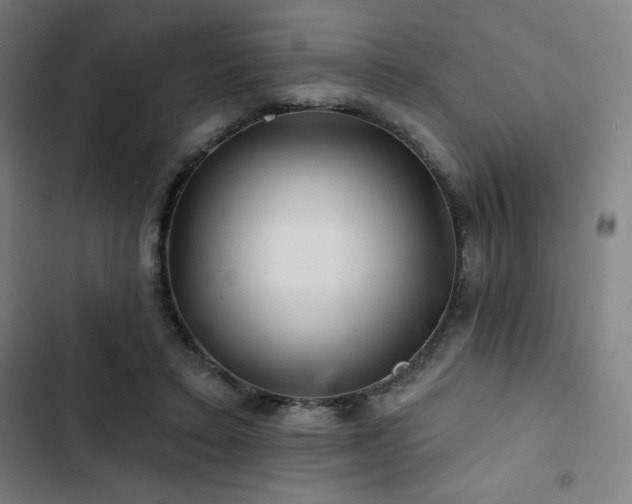 X0000103320403200809051152